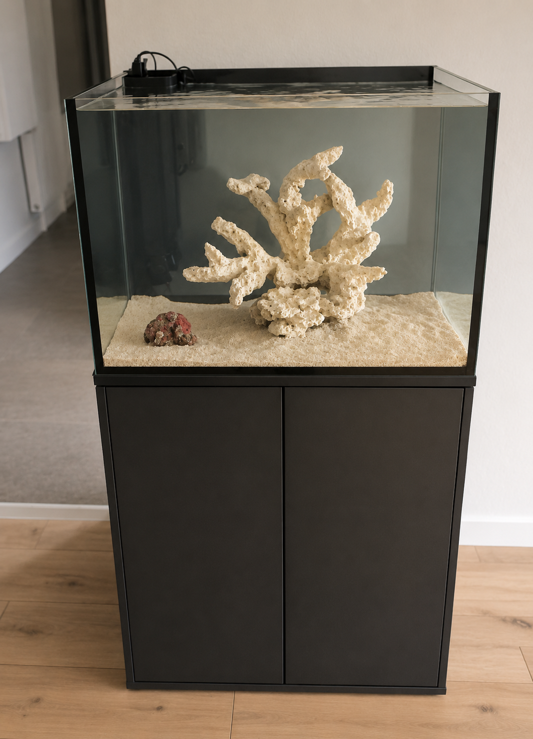 Compact Reef als fertiges Aquarium